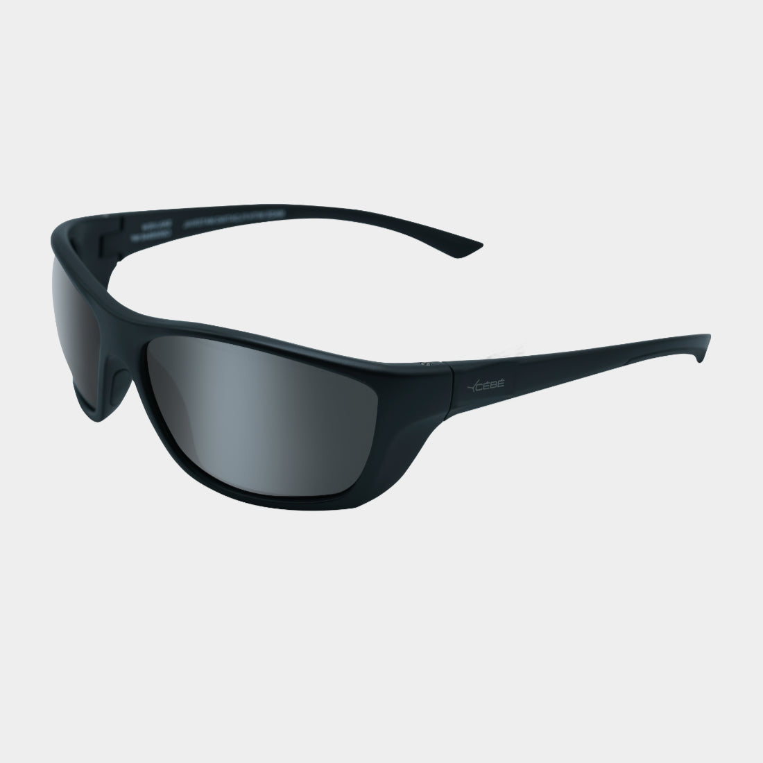 SAILVIEW